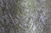 Dingle fibreglass roof work